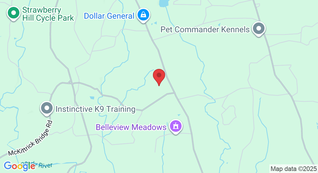 106 Karla Ct, Fountain Inn, SC 29644, USA