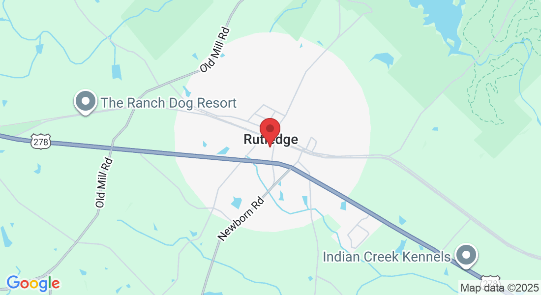 145 Newborn Rd, Rutledge, GA 30663, USA