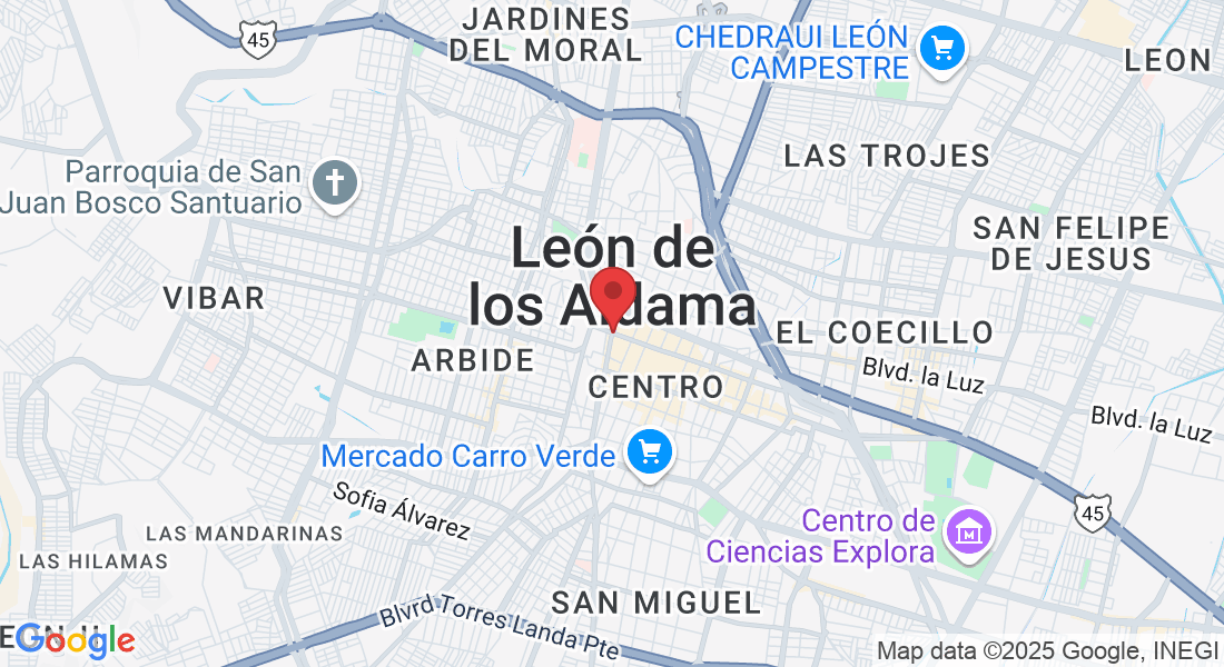 León de los Aldama, Gto., México