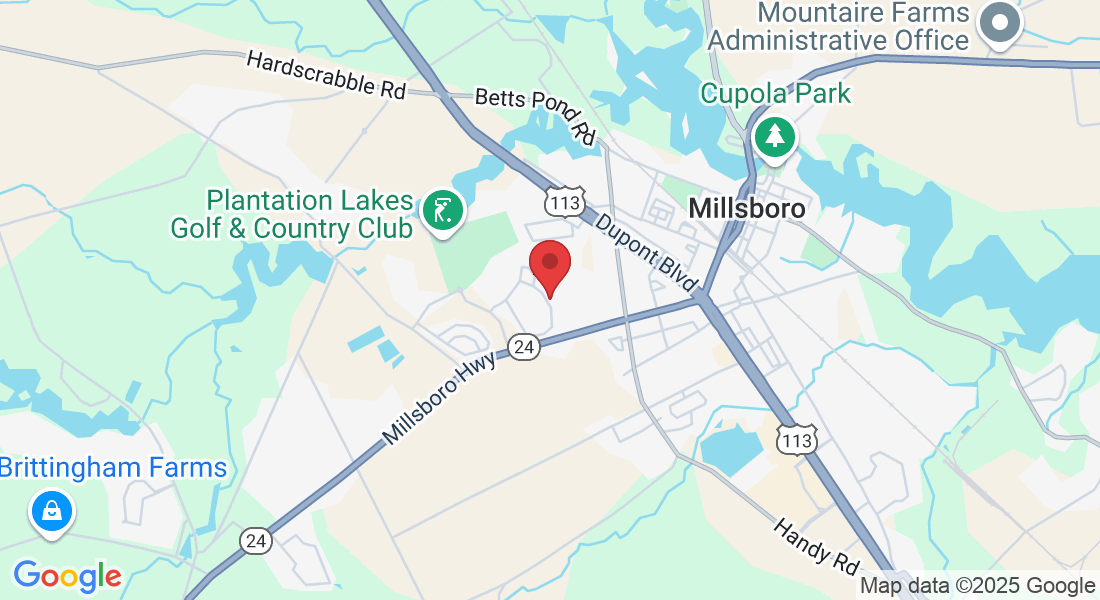 29502 Glenwood Dr, Millsboro, DE 19966, USA