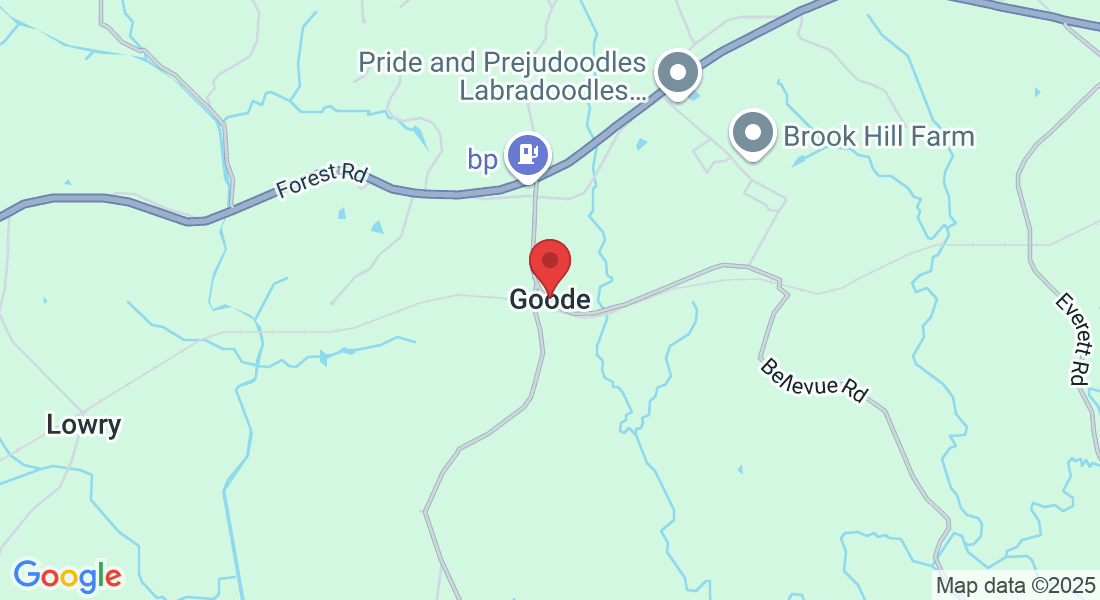 Goode, VA 24556, EUA