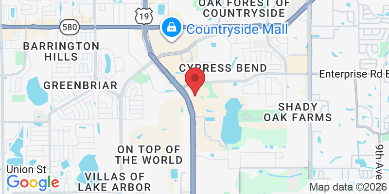 25973 US Hwy 19 N, Clearwater, FL 33763, USA