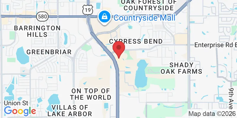 25973 US Hwy 19 N, Clearwater, FL 33763, USA