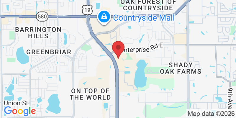 25973 US Hwy 19 N, Clearwater, FL 33763, USA