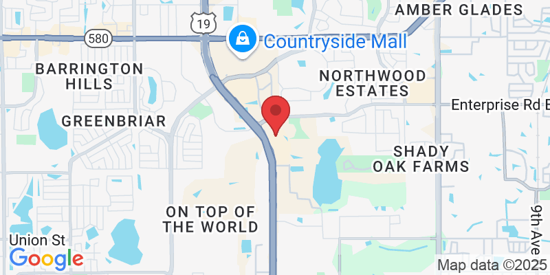 25973 US Hwy 19 N, Clearwater, FL 33763, USA