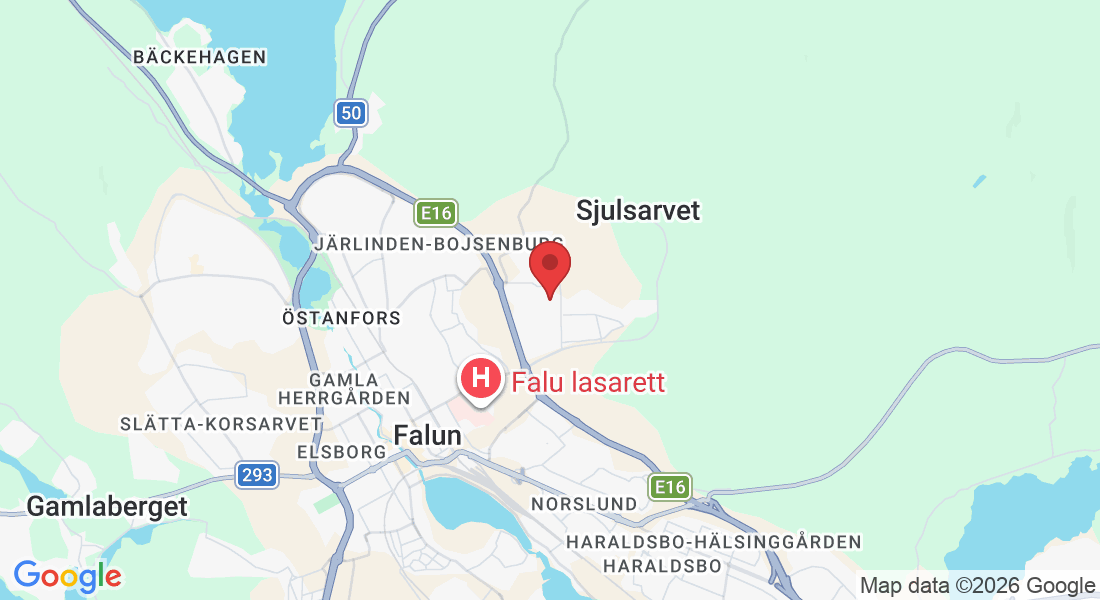 Lugnetvägen 5, 791 83 Falun, Sverige