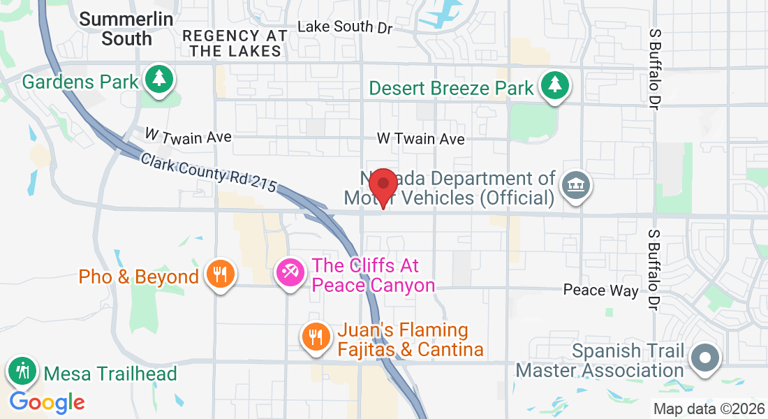 9338 W Flamingo Rd, Las Vegas, NV 89147, USA
