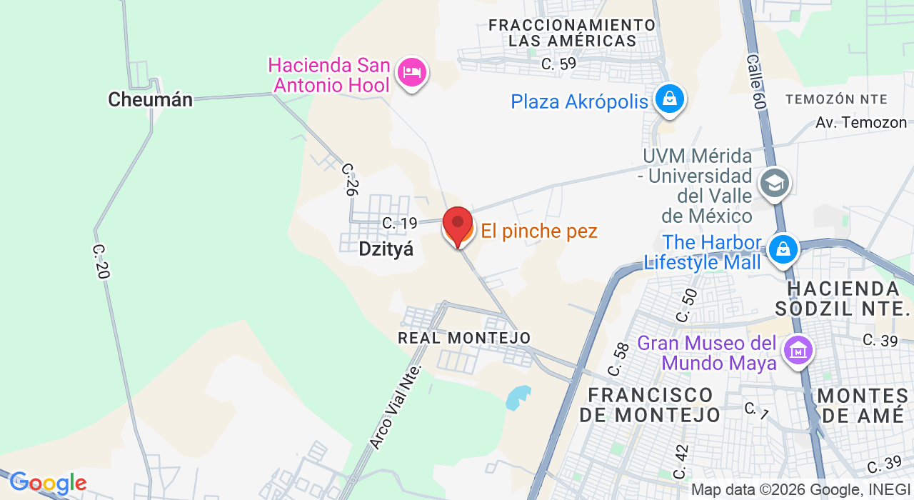 Tablaje 38466 Dzitya, 97302 Mérida, Yuc., México