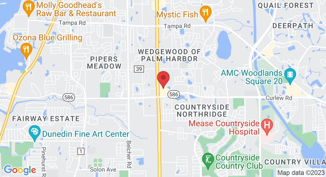 30685 US Hwy 19 N, Palm Harbor, FL 34684, USA