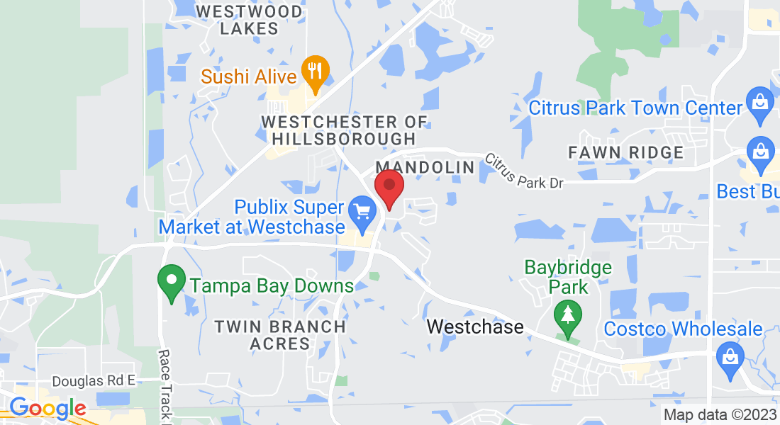 10951 Countryway Blvd, Tampa, FL 33626, USA