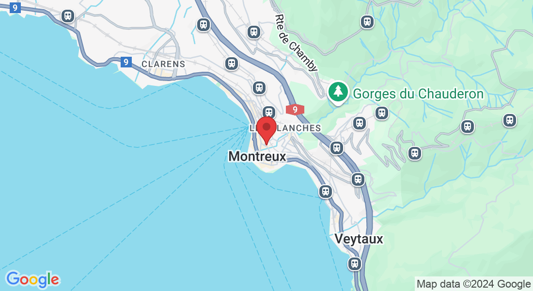 Av. des Alpes 12, 1820 Montreux, Switzerland