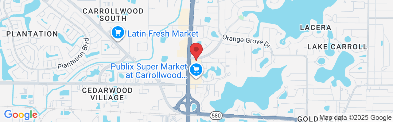 10231 Lake Carroll Way, Tampa, FL 33618, USA