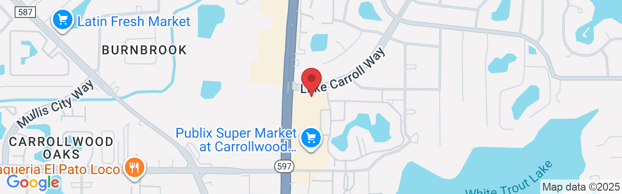 10231 Lake Carroll Way, Tampa, FL 33618, USA