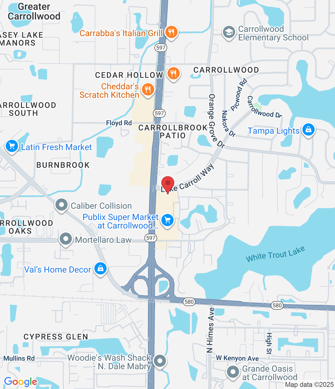 10231 Lake Carroll Way, Tampa, FL 33618, USA