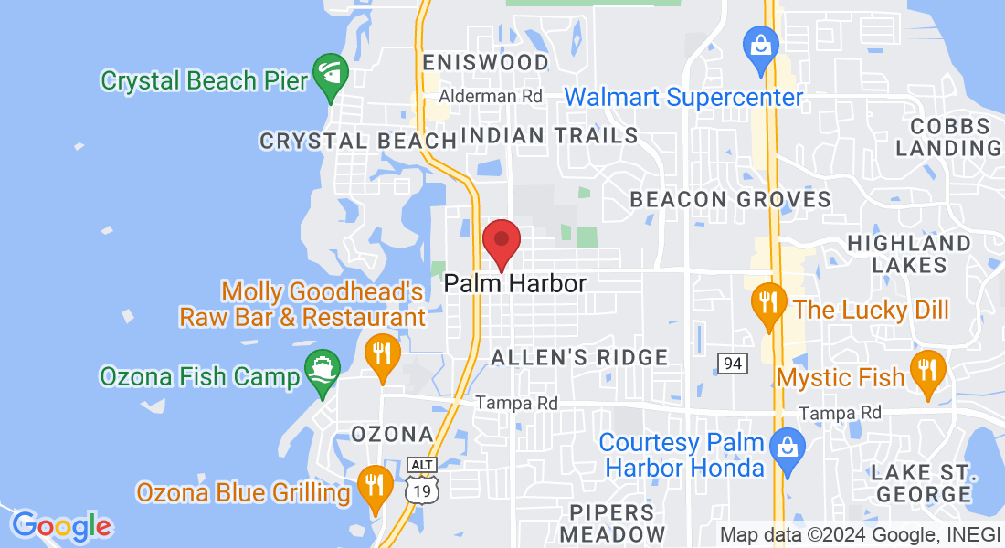 1202 Nebraska Ave, Palm Harbor, FL 34683, EE. UU.