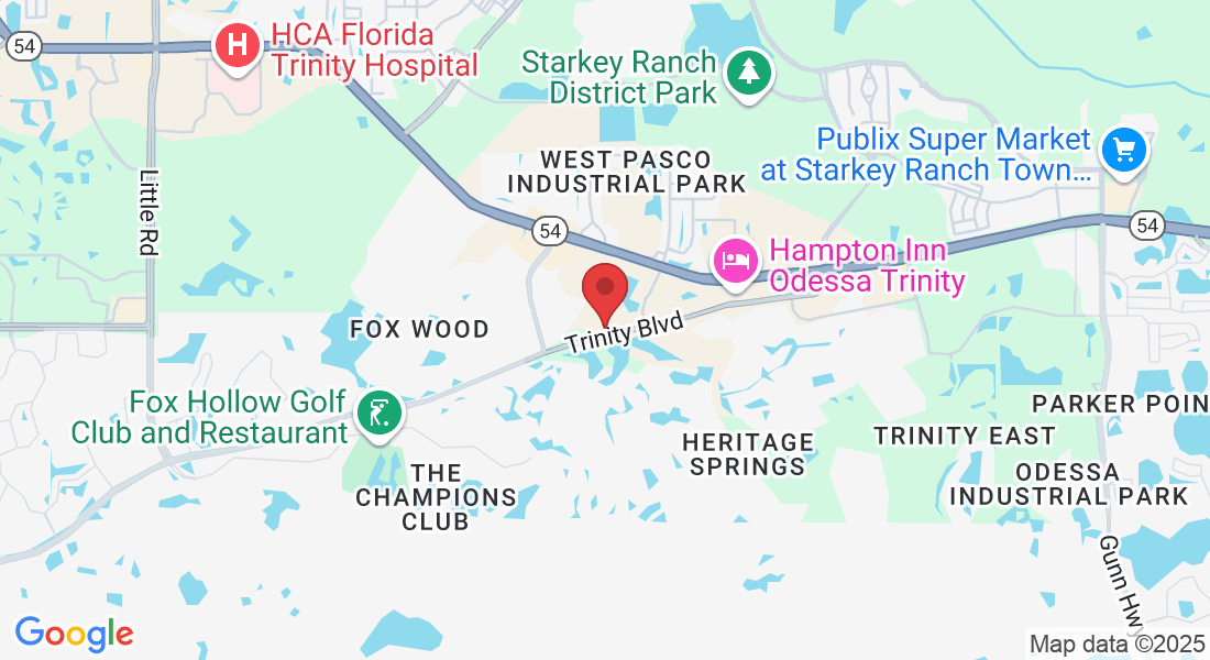 11105 Trinity Blvd, Trinity, FL 34655, USA