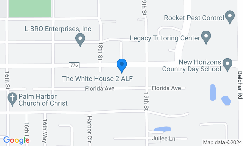 1822 Nebraska Ave #58a, Palm Harbor, FL 34683, USA