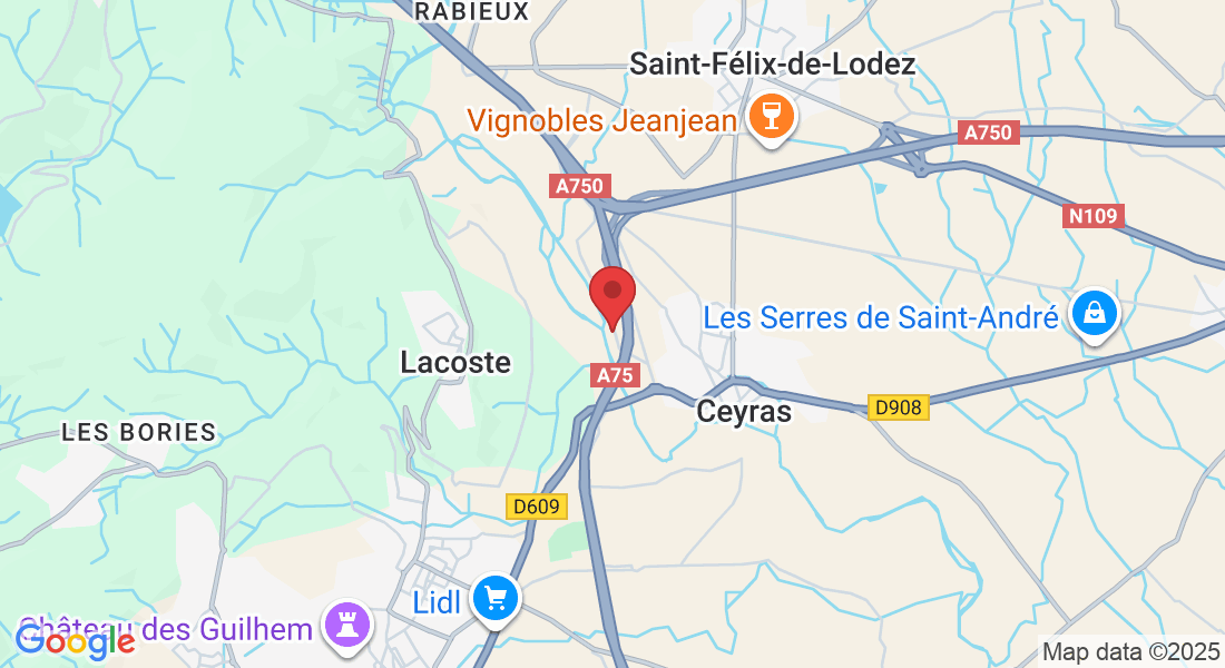 9 Chem. de l'Usine de la Planque, 34800 Ceyras, France