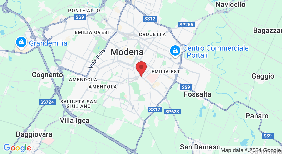 Via Vignolese, 290, 41124 Modena MO, Italia