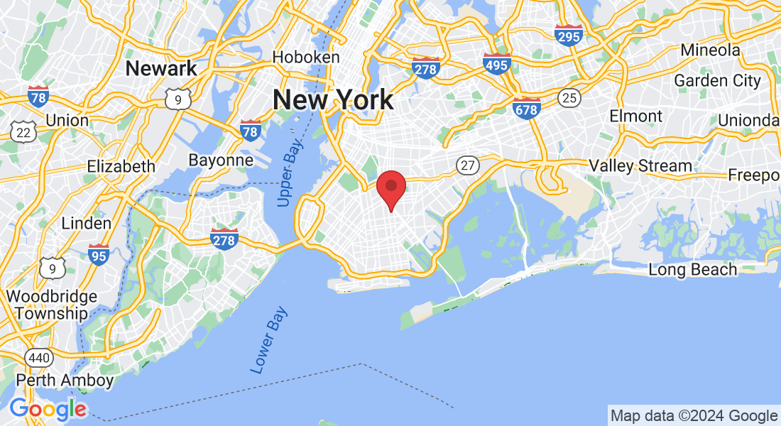875 E 27th St, Brooklyn, NY 11210, USA