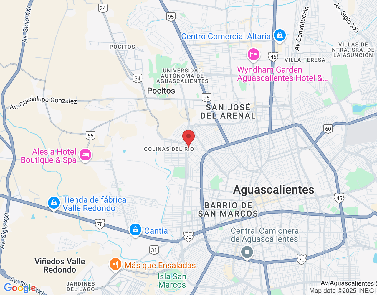 Colinas de San Ignacio, 20010 Aguascalientes, Ags., México