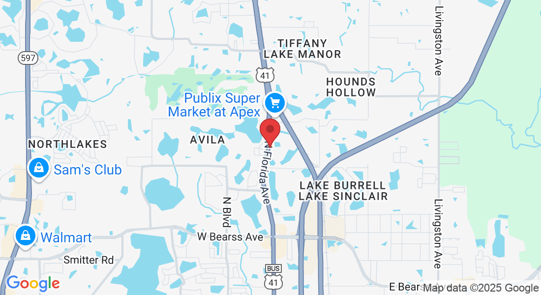 16235 N Florida Ave, Lutz, FL 33549, USA