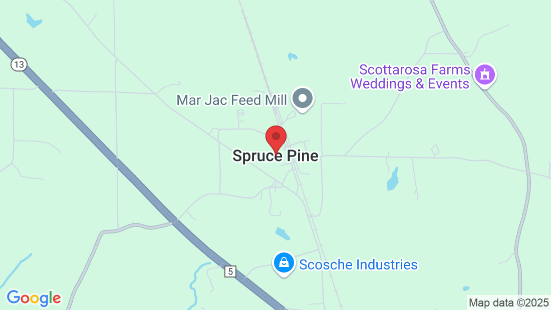 5587 County Rd 22, Spruce Pine, AL 35585, USA