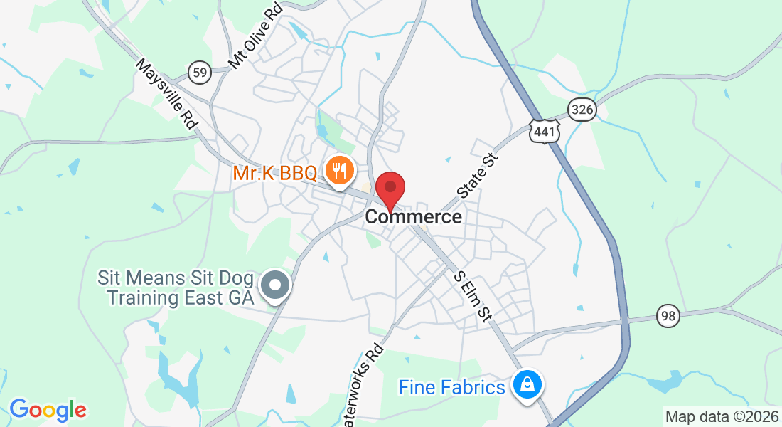 42 Georgia Ave, Commerce, GA 30529, USA