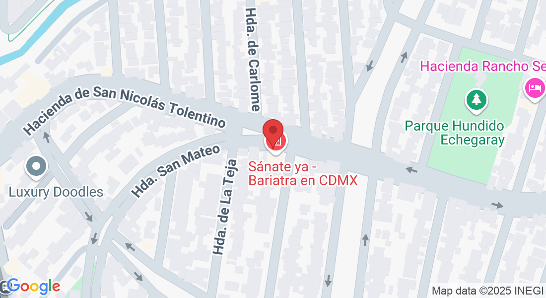 Hacienda de San Nicolás Tolentino 58, Hacienda de Echegaray, 53310 Naucalpan de Juárez, Méx., México