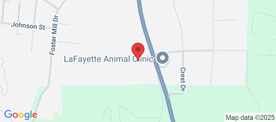 1002 South Main St, LaFayette, GA 30728, USA