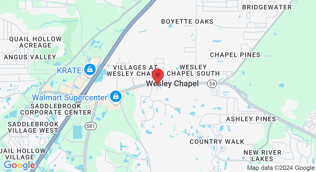 29141 Chapel Park Dr, Zephyrhills, FL 33543, USA