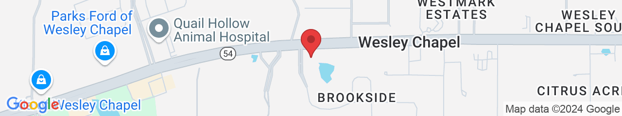 29141 Chapel Park Dr, Zephyrhills, FL 33543, USA