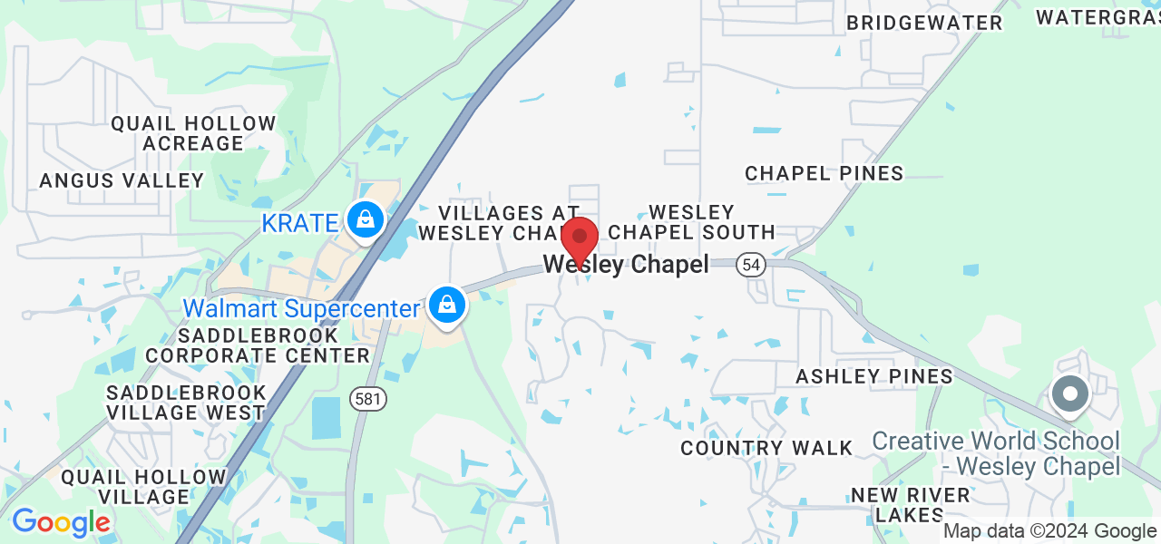 29141 Chapel Park Dr, Zephyrhills, FL 33543, USA