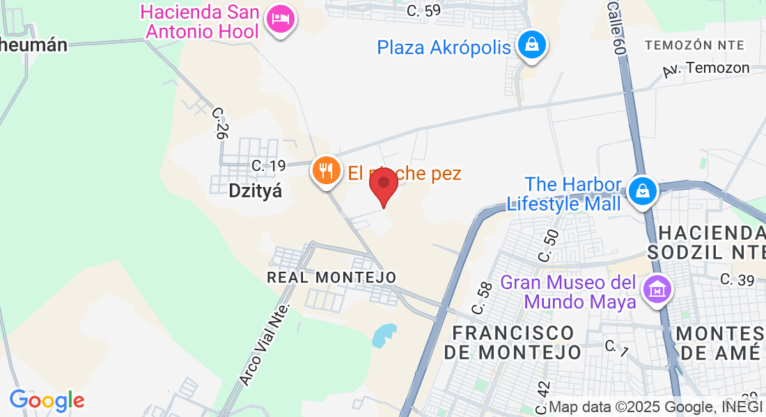 Puerta de Piedra Dzityá, 97302 Mérida, Yuc., Mexico