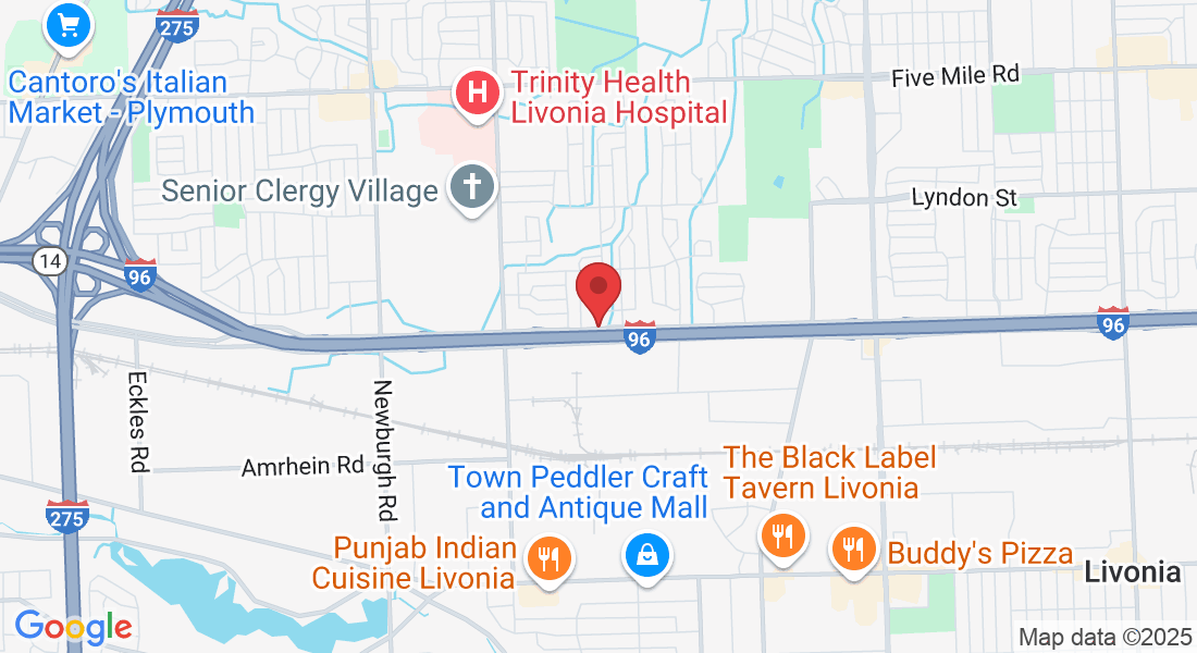 27533 Schoolcraft Service Rd, Livonia, MI 48154, USA