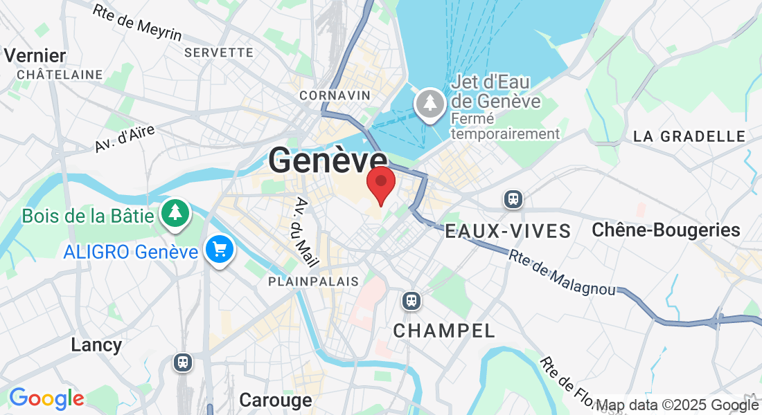 Rue des Chaudronniers 5, 1204 Genève, Suisse