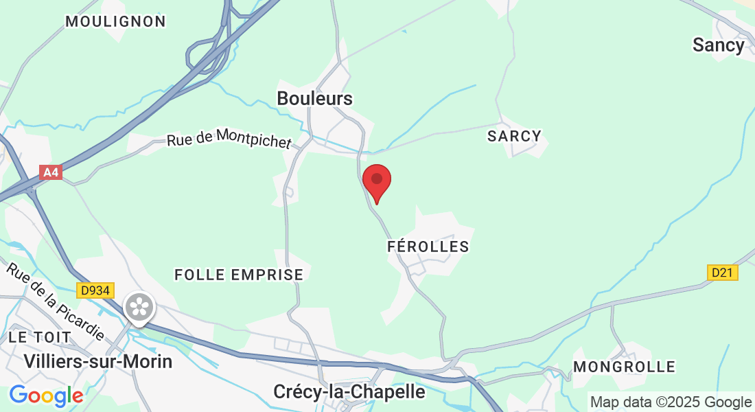 Rte de Férolles, 77580 Bouleurs, France