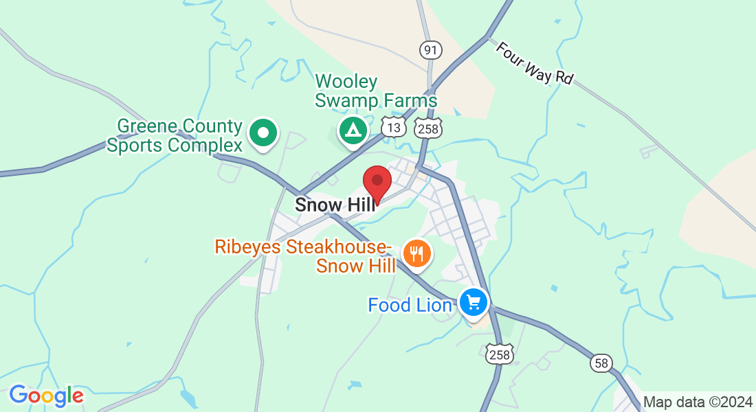 210 W Greene St, Snow Hill, NC 28580, USA