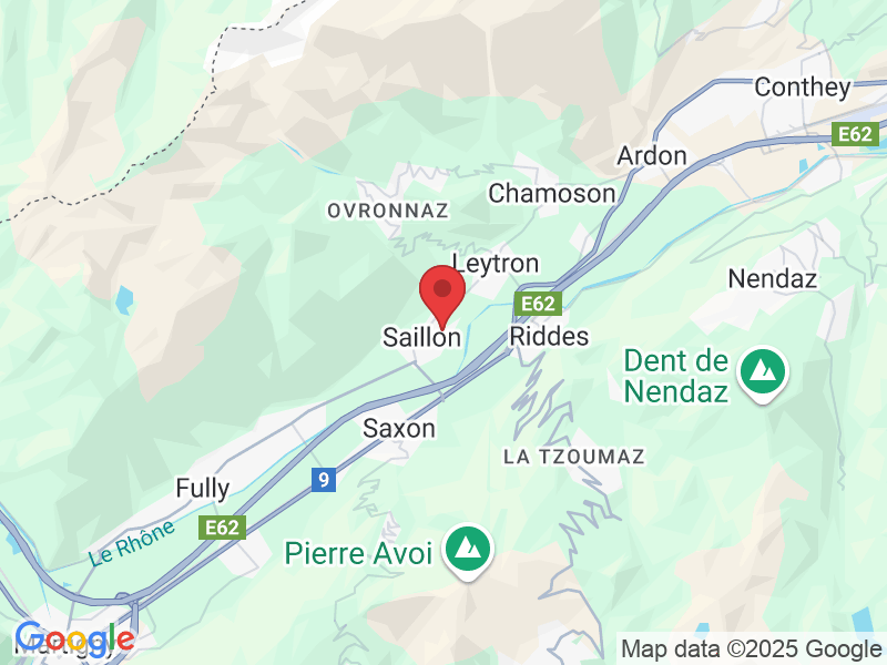 Rue des Marais Neufs 58, 1913 Saillon, Suisse