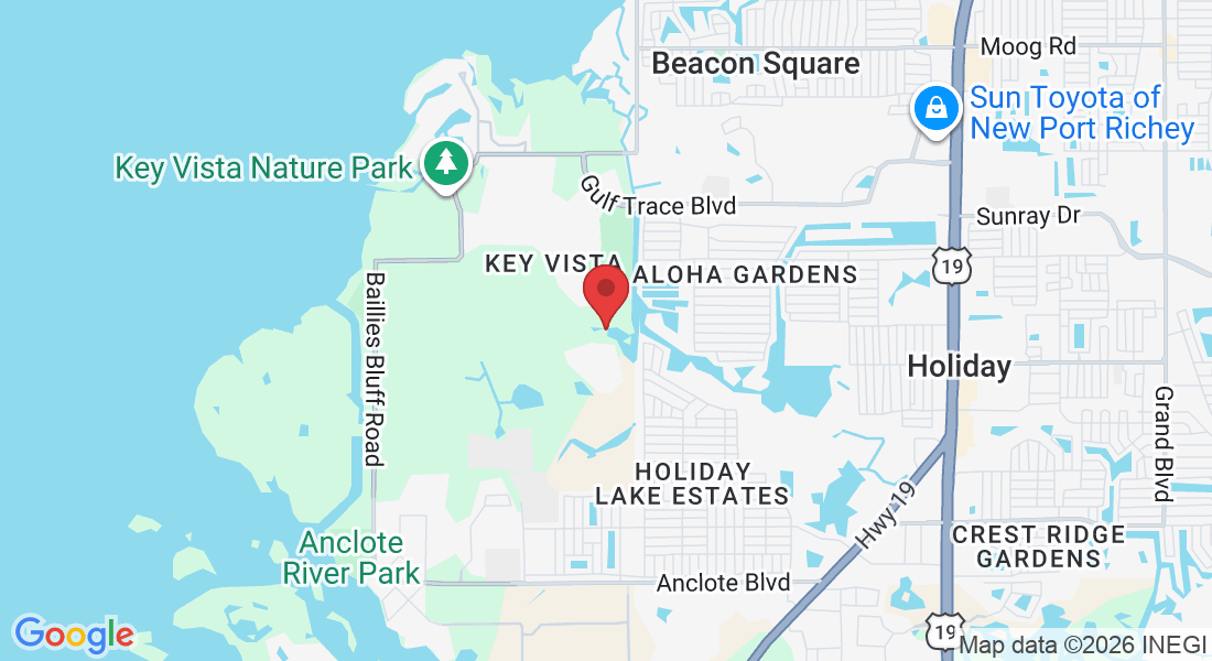 Holiday, FL 34691, USA