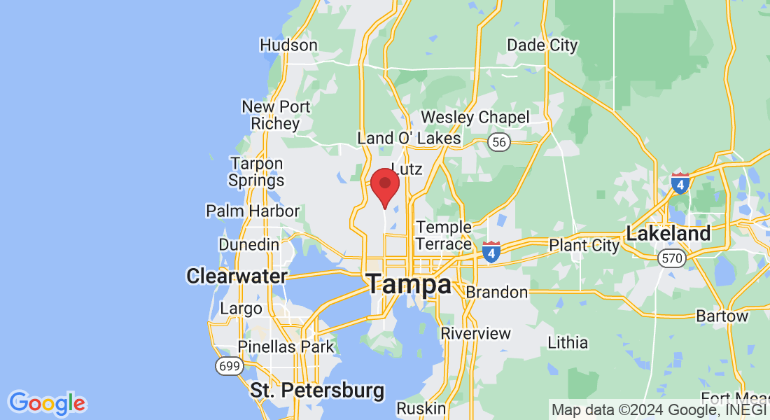 14497 N Dale Mabry Hwy suite 230, Tampa, FL 33618, USA