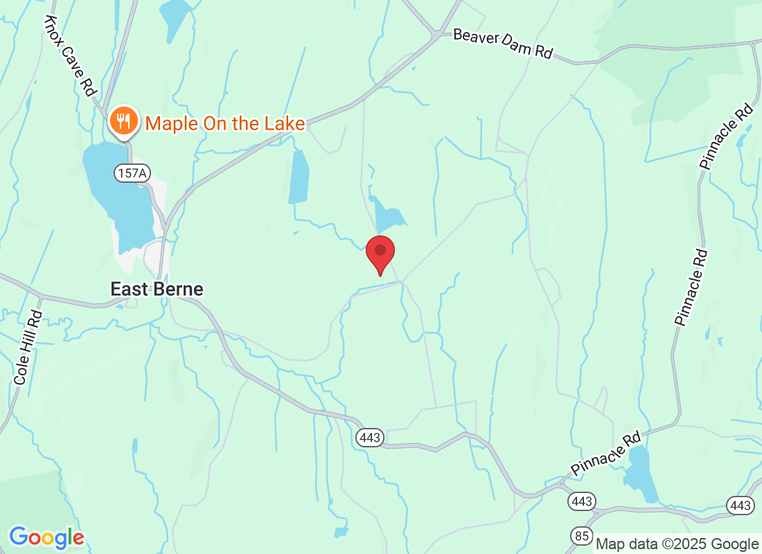 244 Long Rd, East Berne, NY 12059, USA
