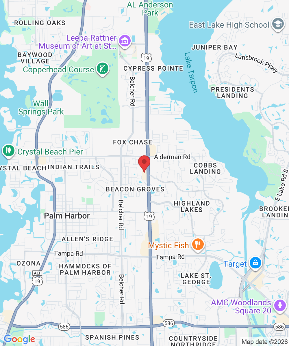 34930 US Hwy 19 N, Palm Harbor, FL 34684, USA