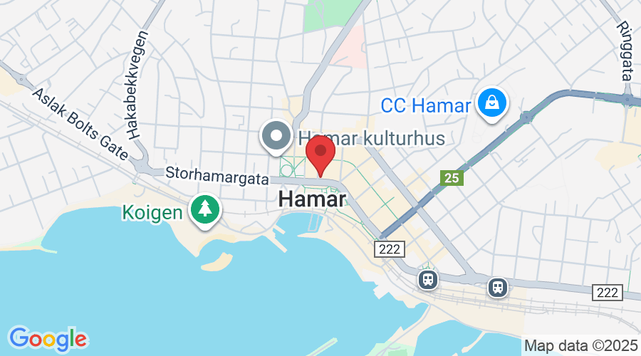 Strandgata 65, 2317 Hamar, Norge