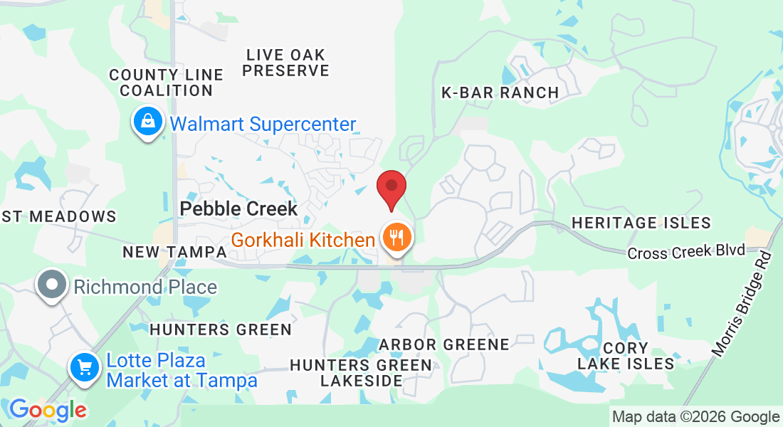10019 Oxford Chapel Dr, Tampa, FL 33647, États-Unis