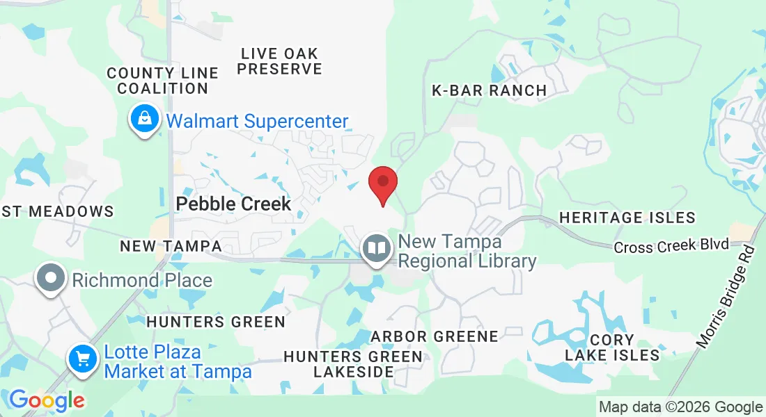 10019 Oxford Chapel Dr, Tampa, FL 33647, États-Unis