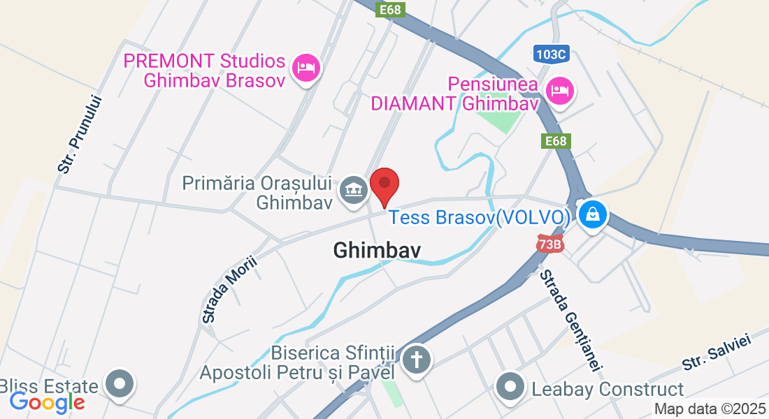 Strada Lungă 2, Ghimbav 507075, Romania