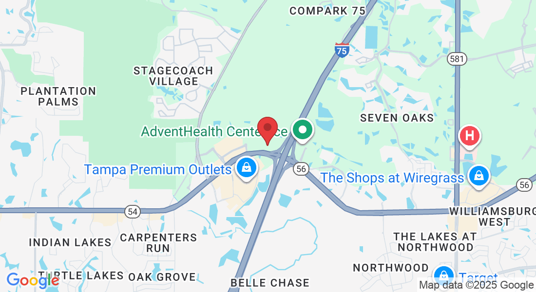 26000 Sierra Center Blvd, Lutz, FL 33559, USA