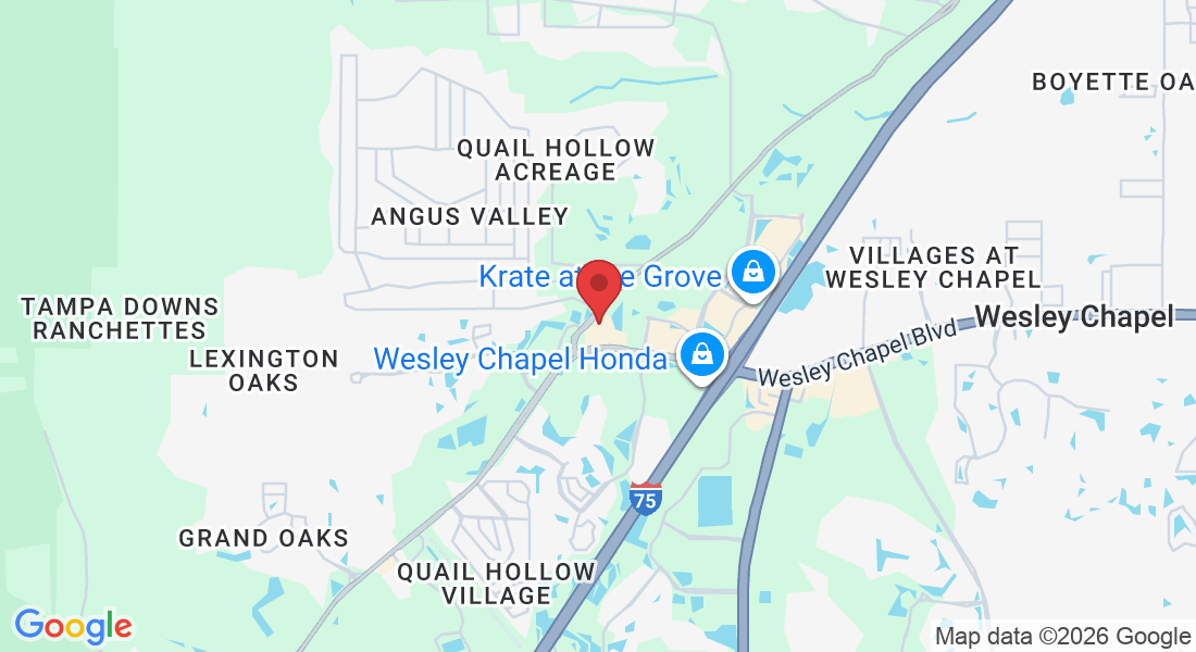 27251 Wesley Chapel Blvd suite 1138, Wesley Chapel, FL 33544, EE. UU.