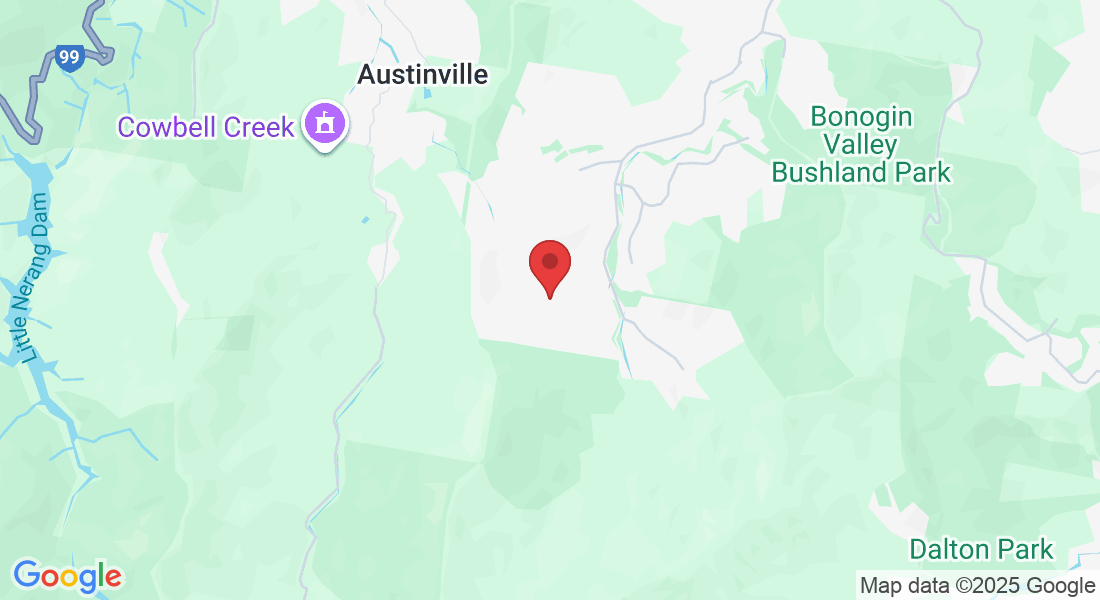 22 Garlinge Ct, Bonogin QLD 4213, Australia